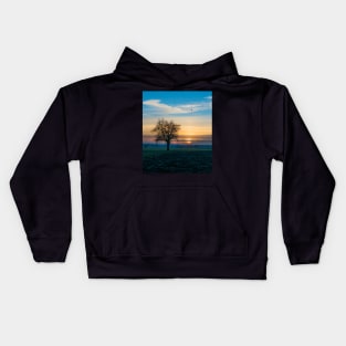 Sunset with bird in flight Kids Hoodie